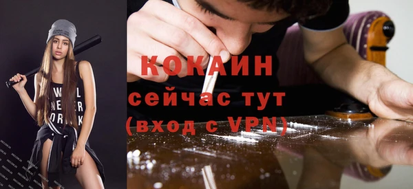 твердый Богородицк