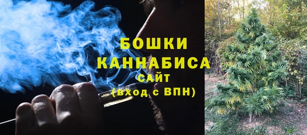 первитин Богородск