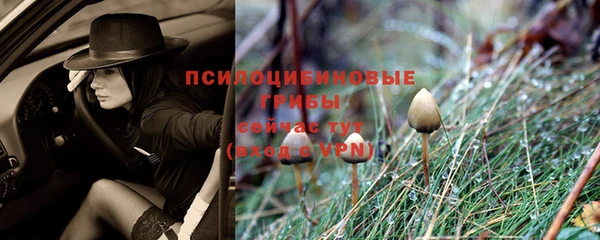 кристаллы Богданович