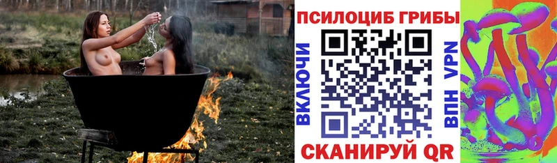 Псилоцибиновые грибы Psilocybine cubensis  Купить где  Шали 